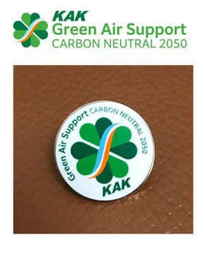 ピンズのデザイン