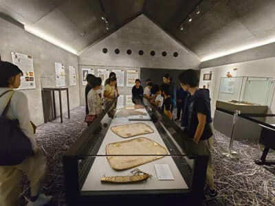 企画展のデザインにリンク